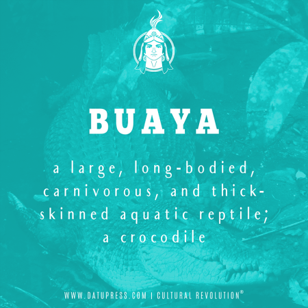 Buaya